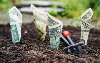 IL CROWDFUNDING APPLICATO AI LIBRI IL CROWDFUNDING APPLICATO AI LIBRI
